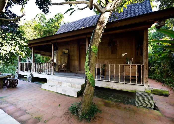 Kalapa Boutique & Yoga 4* Canggu