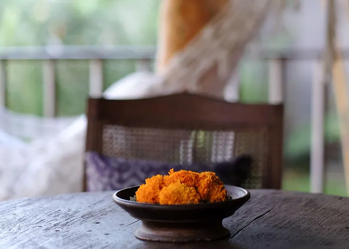 Kalapa Boutique & Yoga Resort Canggu